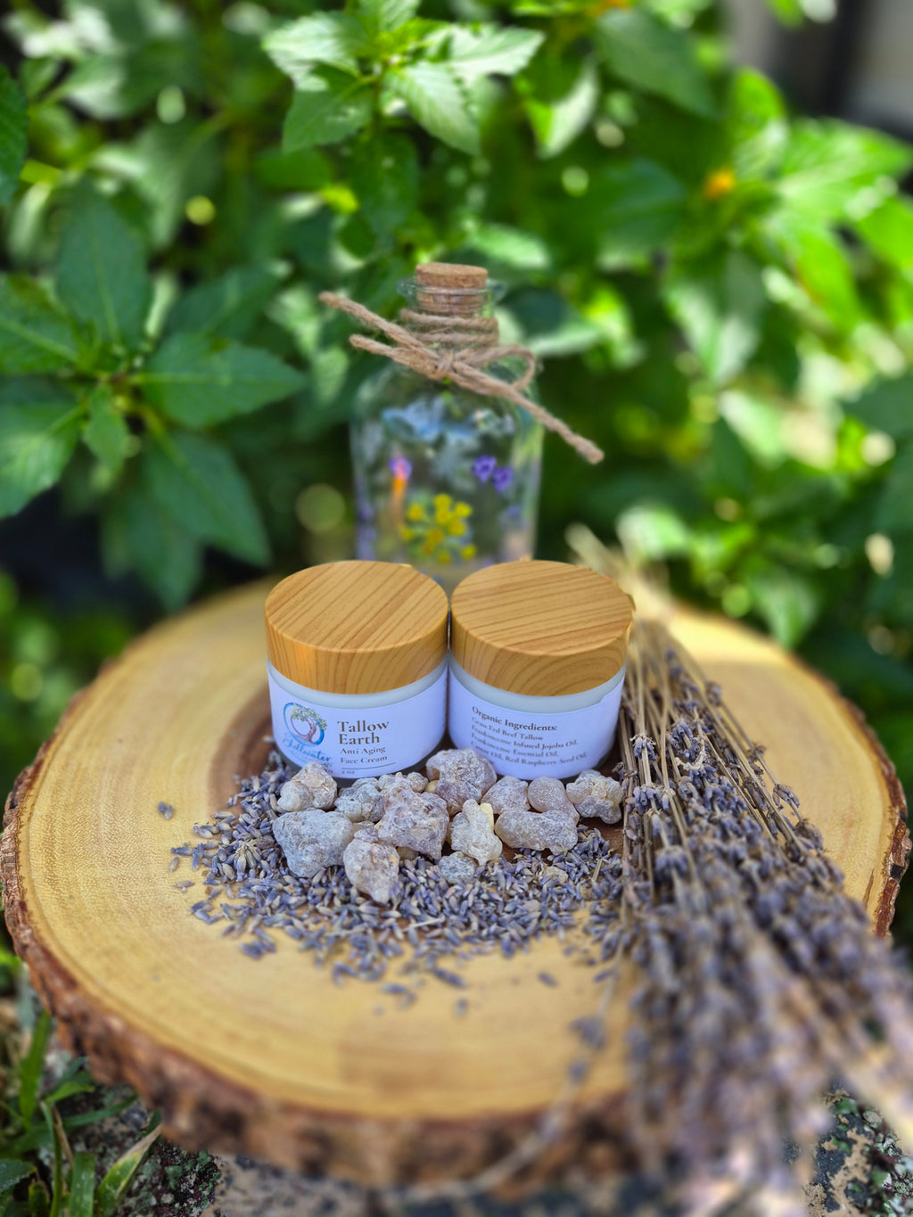Tallow Earth Anti Aging Face Cream by Stillwater Naturals — natural restorative facial moisturizer in glass jar
