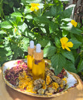 Tallow Earth Botanical Blend Serum