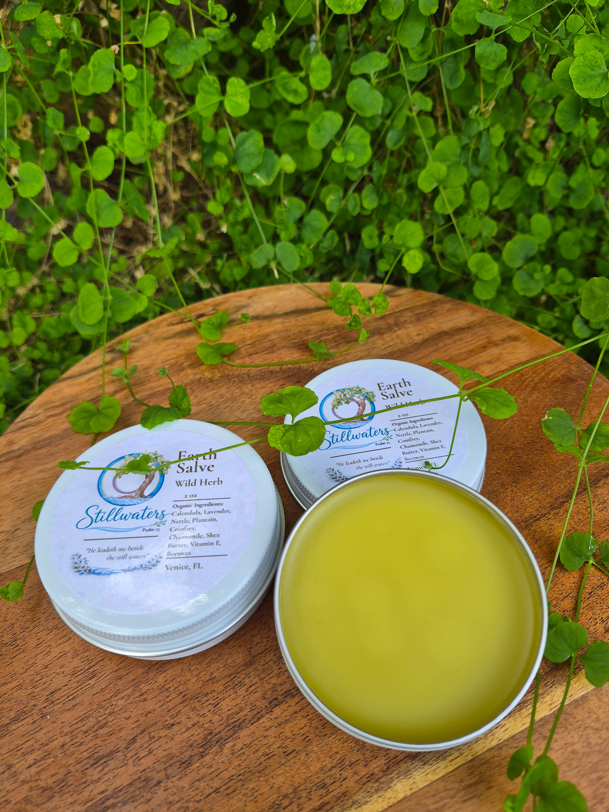 Tallow Earth Wild Herb Salve | Remedy Uses