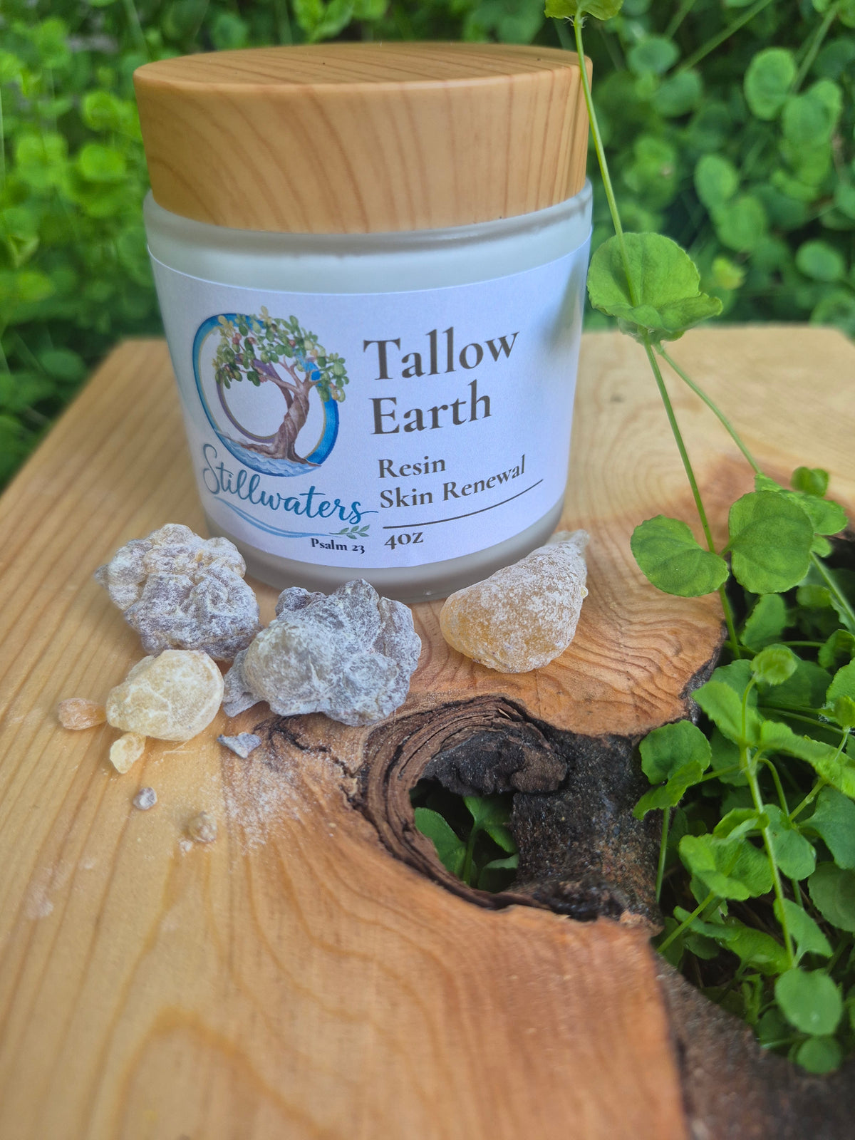 Tallow Earth Resin Skin Renewal | Frankincense & Chamomile Whipped Body Butter