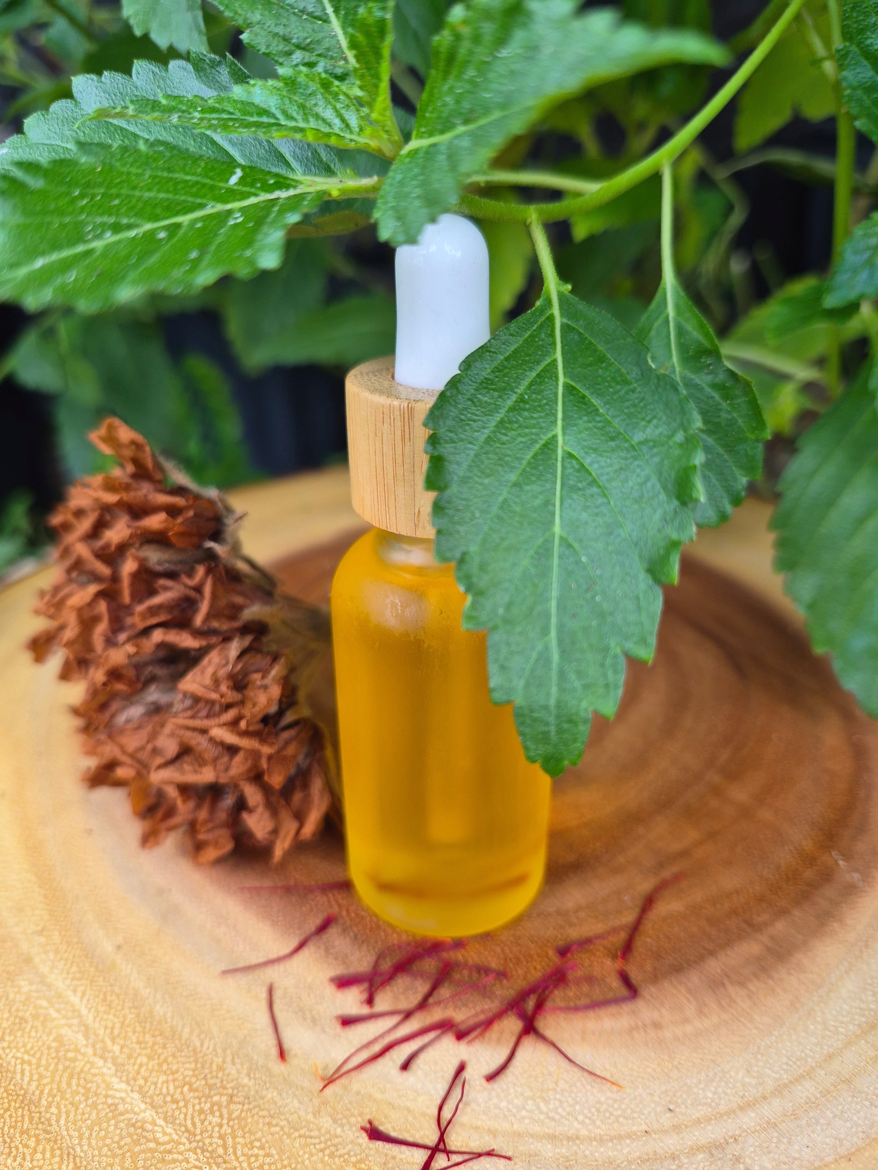 Tallow Earth "Red Gold" Serum | Saffron Facial Oil